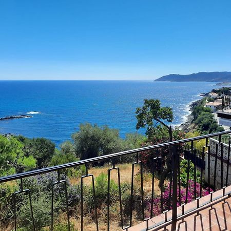 Apartamento Deluxe Cau Del Llop Llança Eksteriør billede